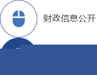 财政信息公开